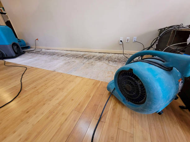 Professional Structural Drying technician working in Hornsby, TN